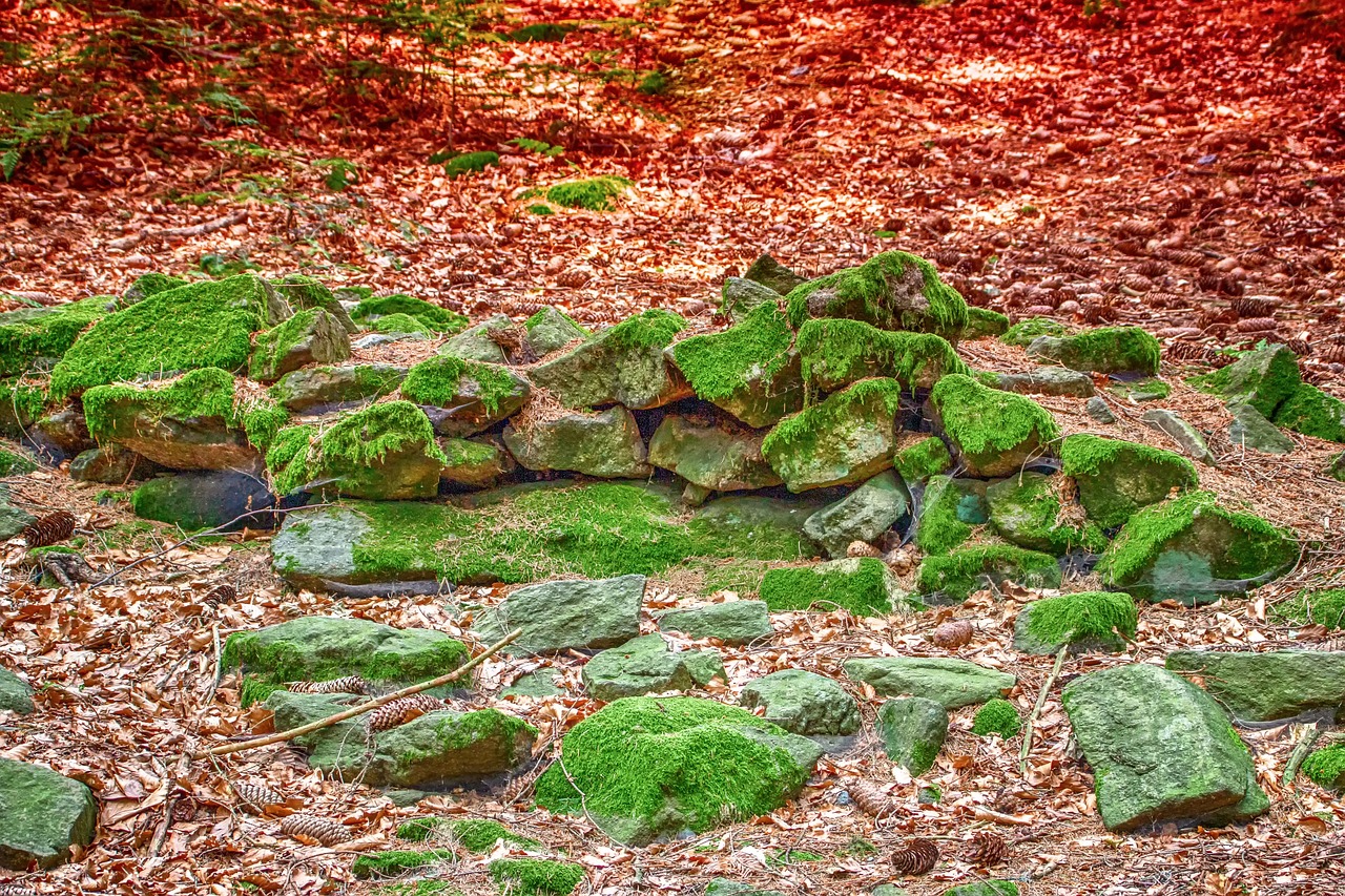 Stones, nature, stone group in Allen, TX